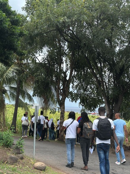 Mission ASFO Guadeloupe l’USP au contact des professionnels de la gouvernance touristique et de l’insertion professionnelle des étudiants